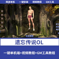 【遗忘传说OL】一键单机镜像端已汉化80%+单机视频安装教程