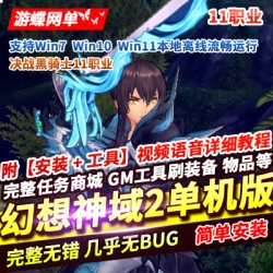 游蝶网单MMORPG端游幻想神域2单机版决战黑骑士11职业一键端GM