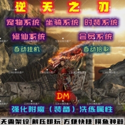 DM游戏单机版逆天之刃2V2.9PC电脑端解压即玩修仙附激活方法