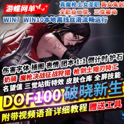 DOF单机版100破界新生女圣职奶骑魔枪女鬼剑枪剑士三觉被动护石团本